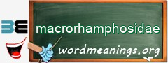 WordMeaning blackboard for macrorhamphosidae